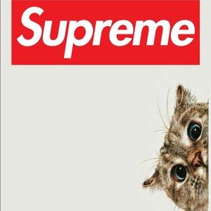 Meet your Posher, Nicholas